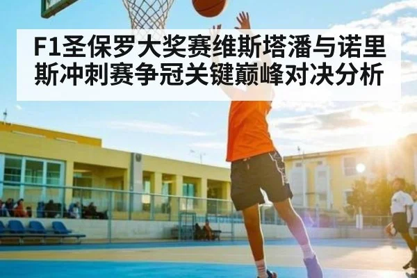 F1圣保罗大奖赛维斯塔潘与诺里斯冲刺赛争冠关键巅峰对决分析